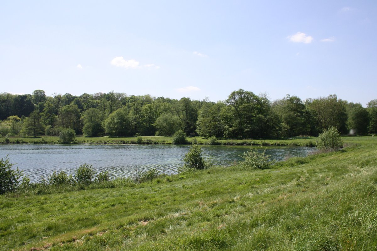 HMWTBadger's tweet photo. We're hiring!
Join the team as People & Wildlife Officer at #PanshangerPark!
#ConservationJobs #CountrysideJobs #WorkinConservation
@TarmacLtd @panshangerpark
Apply now >> https://t.co/8E6h4Ndexc https://t.co/gZdLG2xoz0