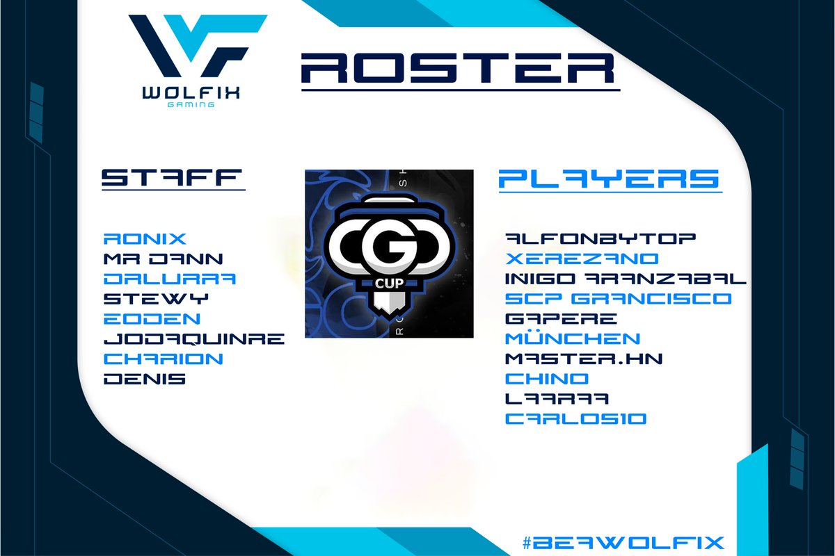 Wolfix Gaming tweet media