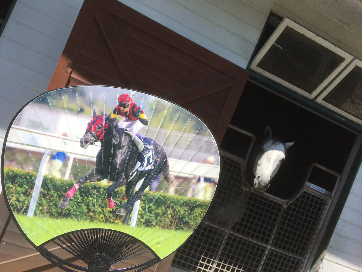 エイシンヒカリ