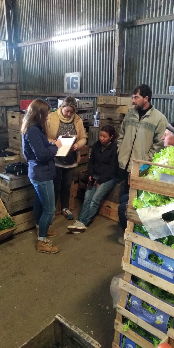 Como cada semana generando Información Comercial de gran utilidad para nuestro sector!. Continuamos trabajando en lo que es la base del futuro sistema de información comercial y productiva local, asociada a la creación e instalación de la CHN.