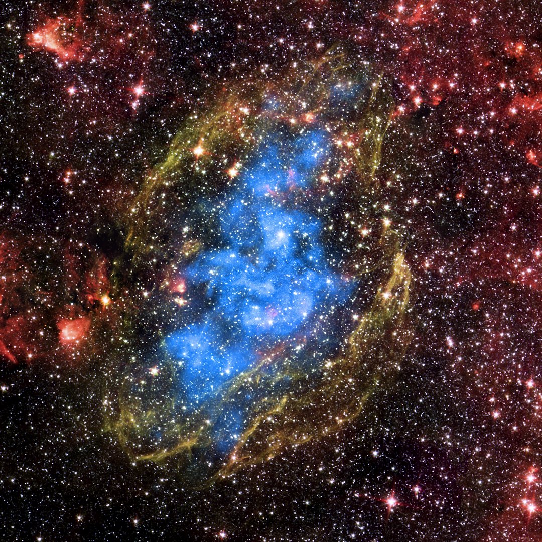 W44 is an expanding supernova remnant located about 9,000 light years from Earth. X-rays from Chandra (blue) show hot gas of several million degrees filling the shell of the supernova remnant as it moves outward in #space. This image is approximately 126 light years across.