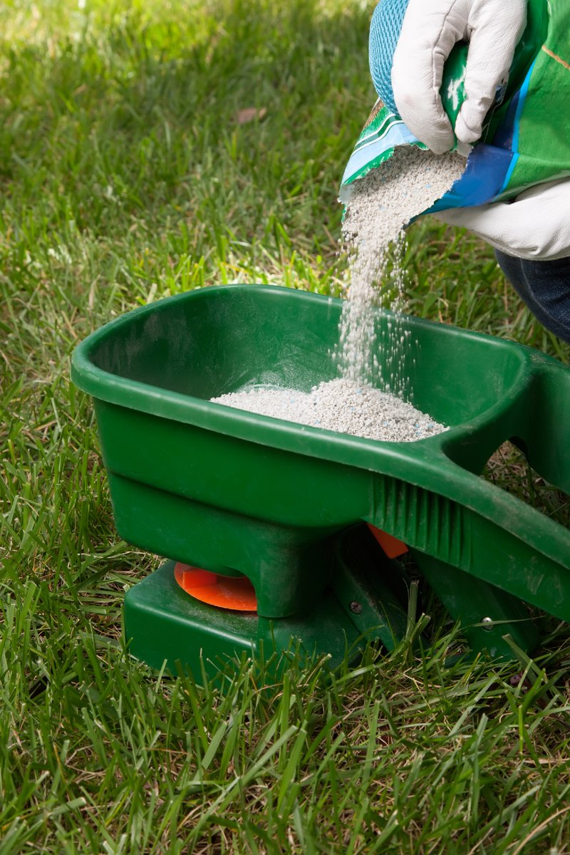 northatlanticl1's tweet photo. Great soil will yield a great lawn, and the right fertilizer might help you achieve the lawn of your dreams. Give us a call to speak or visit our website to learn more!

603-205-7777
https://t.co/Vsd2ly4wD7

#lawncare #lawn #fertilize #fertilizer #fertilizing #fertilizingalawn https://t.co/aA7hlIGUcO