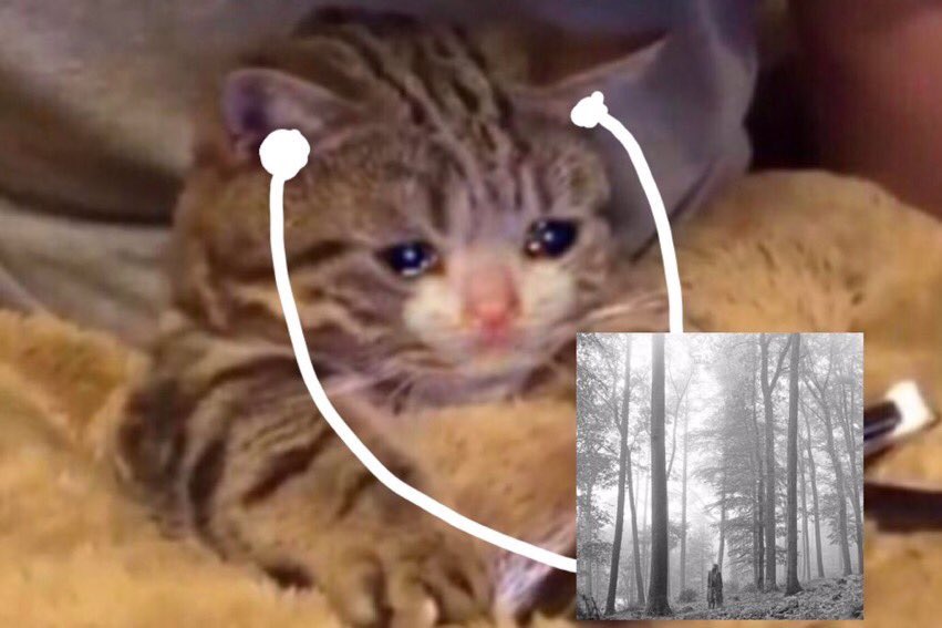 cardigan_swift's tweet image. “you showed me colours you know i can’t see with anyone else”