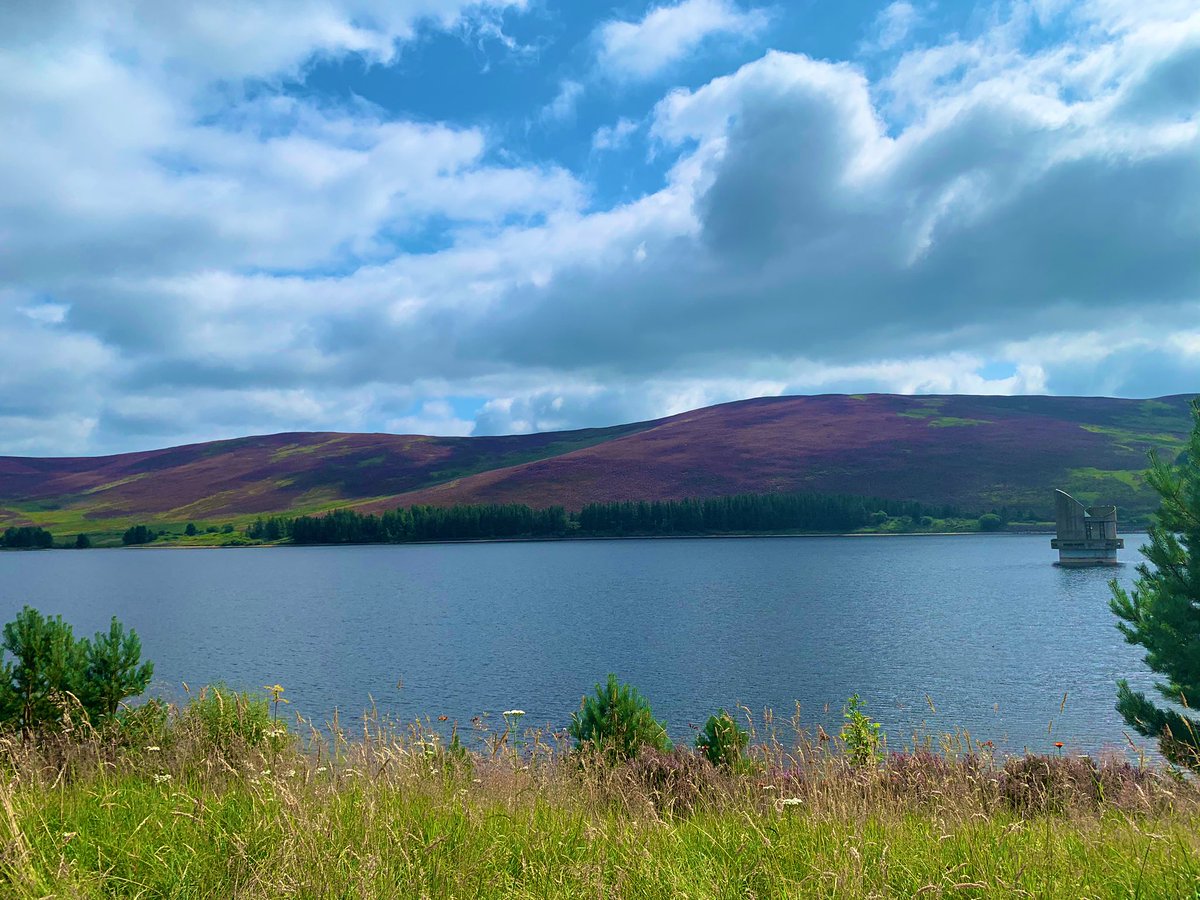 VoxelH's tweet image. Walked around a massive reservoir today