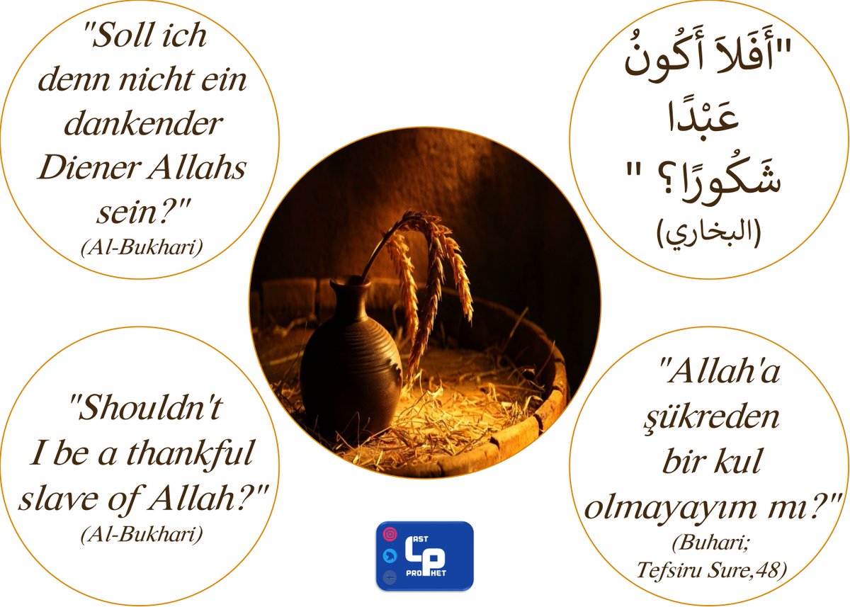 LastProphetP's tweet photo. https://t.co/sK3lEJaQHX