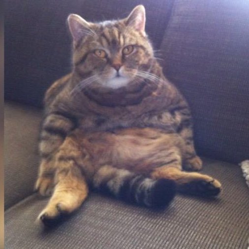 You will be missed.😢