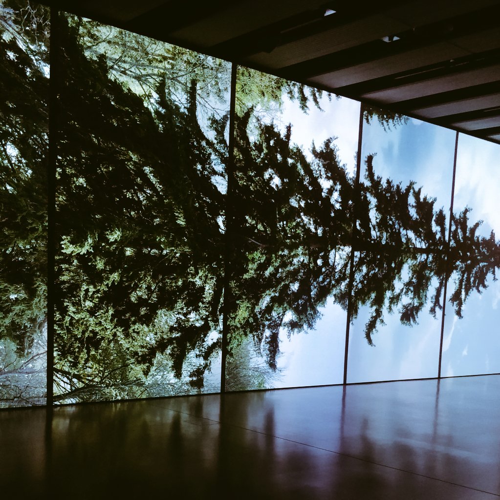 GeriatricSnr's tweet image. Great to enjoy first post-lockdown exhibition #AmongTheTrees @haywardgallery - Thank you for the free entry for NHS workers, oh and thank you for the air-con 😁