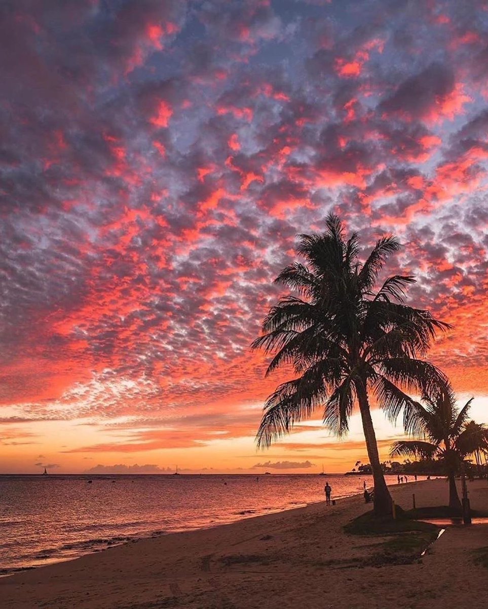 TaleTravel's tweet photo. Hawaii is simply beautiful 🏝✨😍
Photos by @vincelimphoto
#usa🇺🇸 #usasummer #summer2020☀️ #naturephotography #hawai #special_shots #specialspot #hawaii2020 #hawaiisummer #newyorkercartoons https://t.co/MXQNGR07Ao