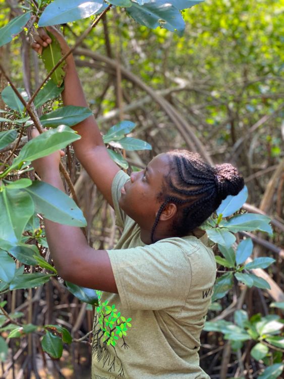 Living Oceans tweet media