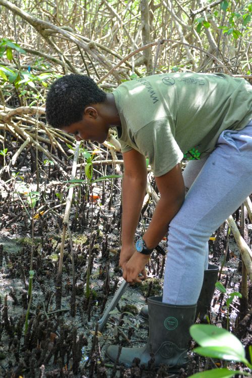 Living Oceans tweet media