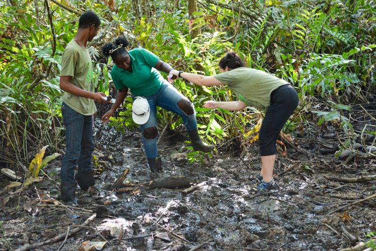 Living Oceans tweet media