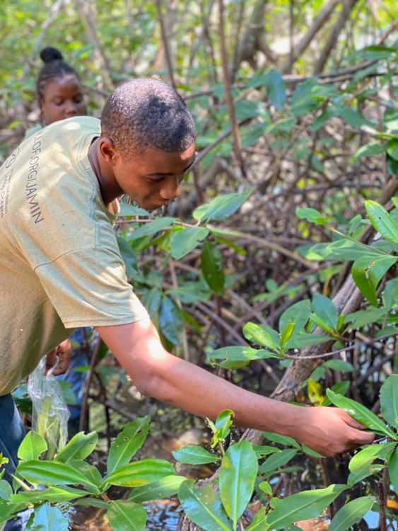 Living Oceans tweet media