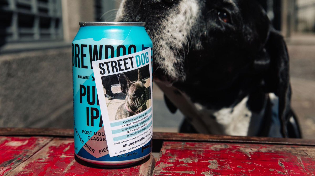StreetDog. Introducing the latest Uncommon x <a href="/BrewDog/">BrewDog</a> project. Turning cans into media to help find dogs new homes🐕🍺
.
100% of profits will be donated to <a href="/AllDogsMatter/">All Dogs Matter</a> &amp; <a href="/dotslondon/">Dogs On The Streets</a>. Pre-order today: brewdog.com/uk/street-dog-…