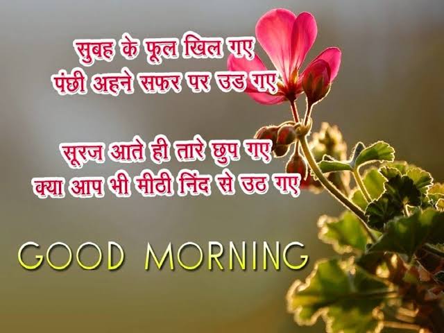 Ghirni101's tweet photo. Hi @poohbaniparvati https://t.co/D4ted3DcqF