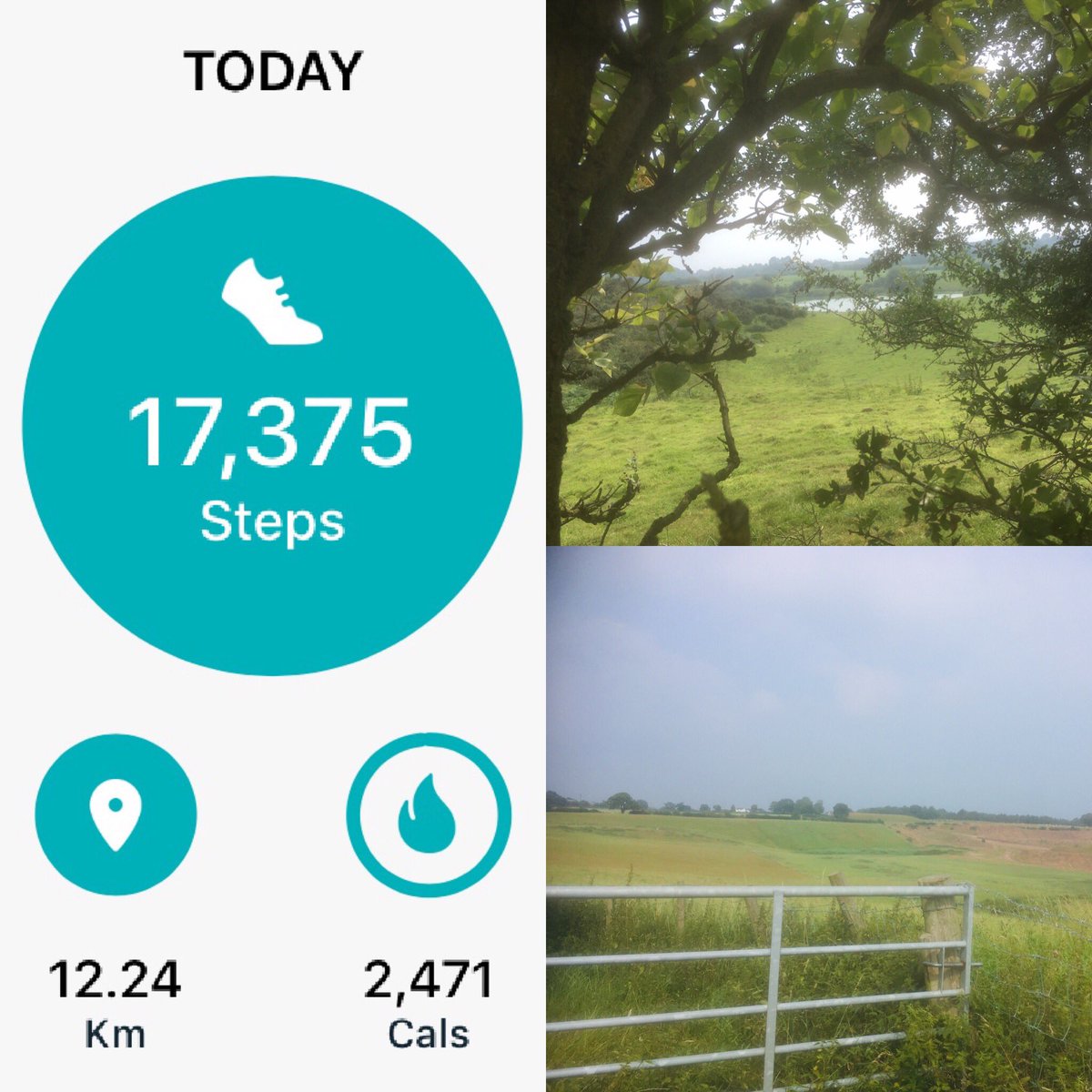 clairegeorge03's tweet photo. By taking an extra long stroll around the block this morning I smashed my 10,000 step target before lunchtime! ππ»ββοΈππ€βοΈπ
#WeActiveChallenge #AHPsActive #WAC211 #NorthWales #GetOutdoors #PractiseWhatITeach https://t.co/ZyCy6NOo0J