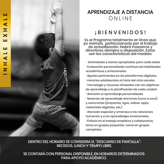 ColegioSurval's tweet photo. This is the way we will go back to school #online @colegio_surval School Year 2020-2021 #proudtobesurval Online since the first day! We are ready! https://t.co/xJM6v6Sci9