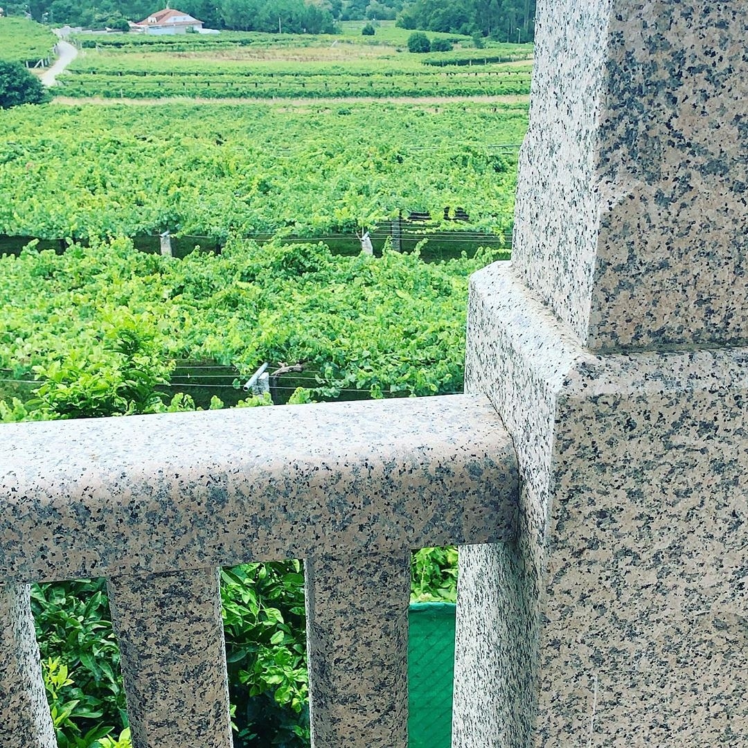 Mirador by <a href="/AsSeteCampas/">As Sete Campás</a>
• • • • • •
 
#galicia #agosto #OSalnés #Meaño #EntreViñedos