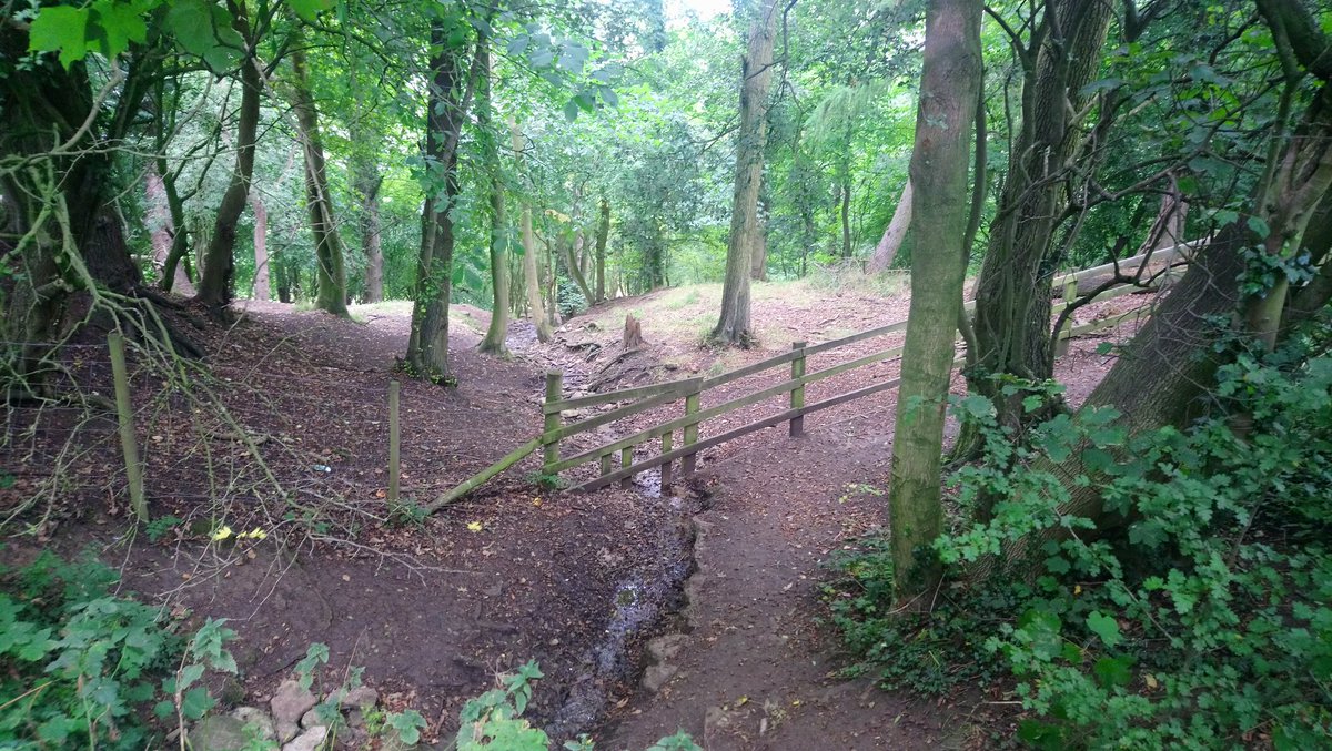 katspark1's tweet photo. A cooler day for a walk...... https://t.co/N7naXbEBAR