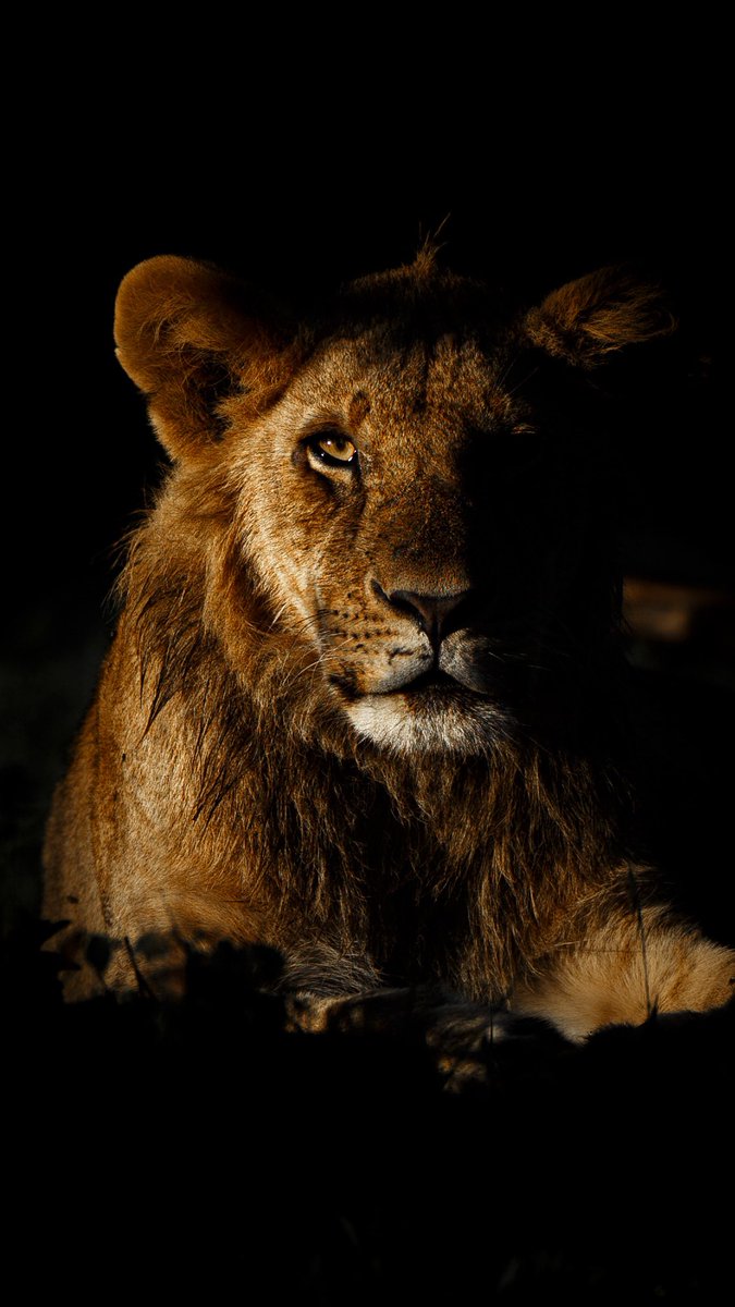 Qatari 🇵🇸 tweet media