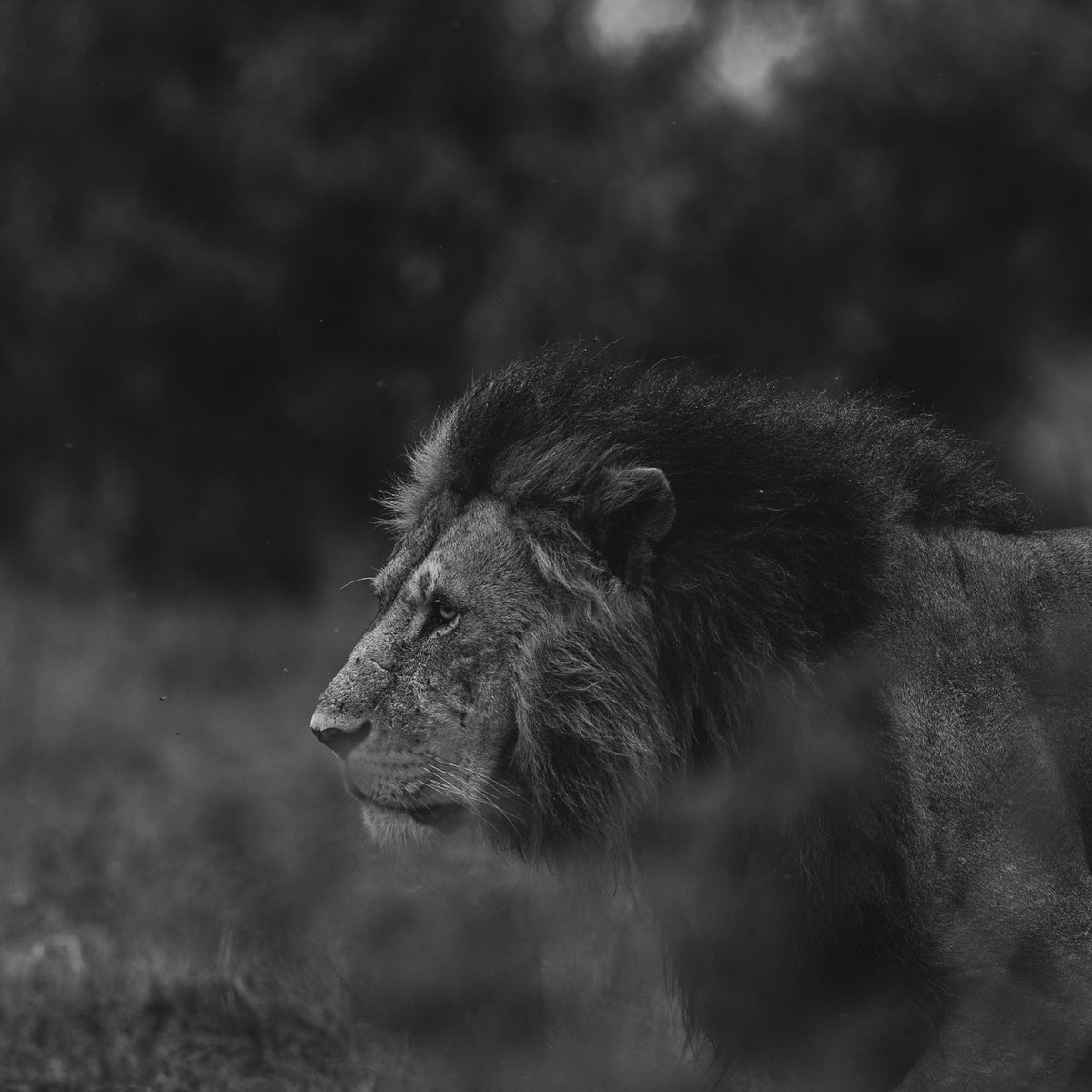 Qatari 🇵🇸 tweet media