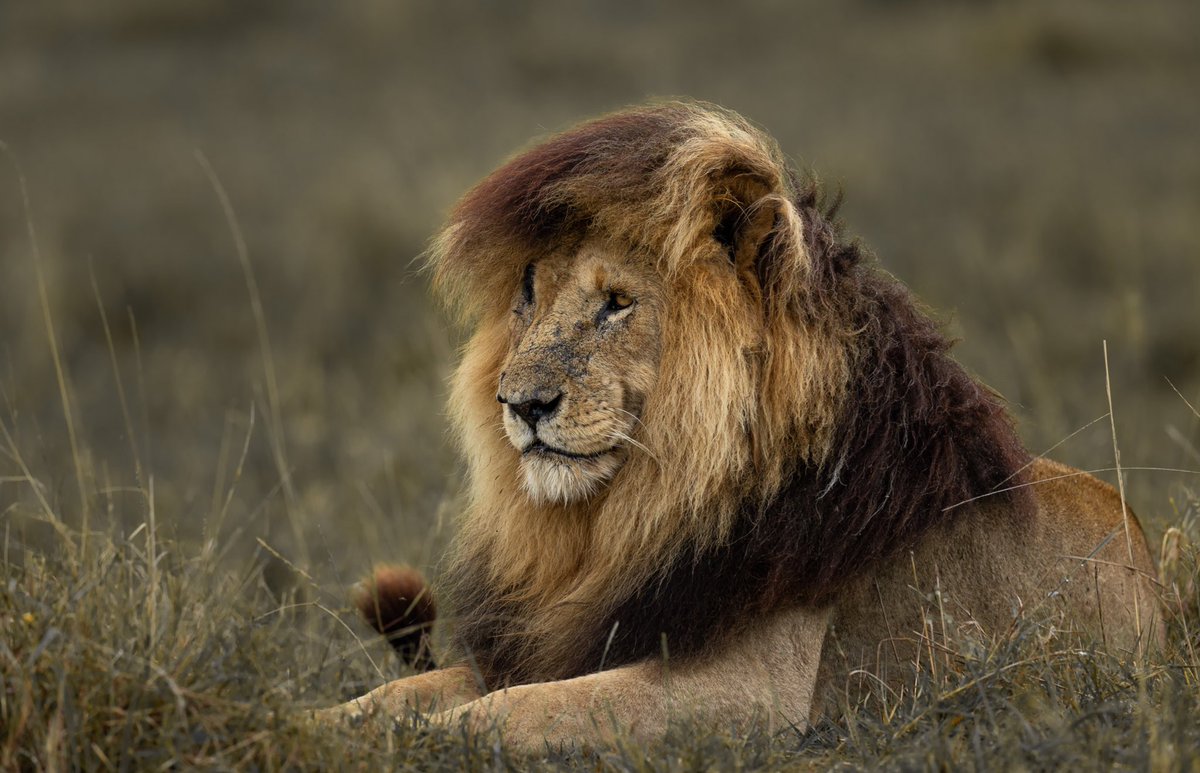 Qatari 🇵🇸 tweet media