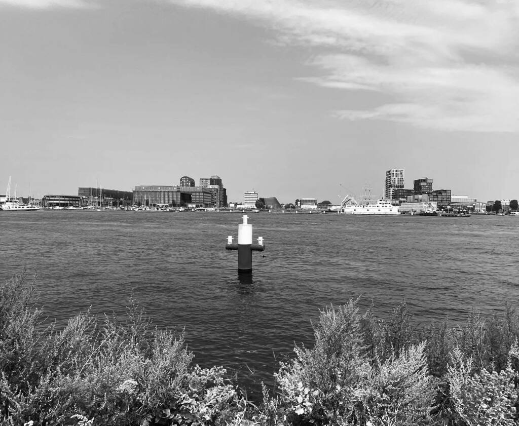 deroonfrank's tweet photo. Amsterdam North at the IJ in tropical heat #waterfront #ndsm #botel #ferry #blackandwhitephotography #cycling #newfrontier #monochrome #monochromatic #monochromephotography https://t.co/EERzT9XHii https://t.co/VPPON9oMb7