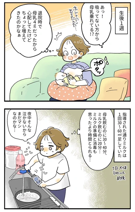 完母に憧れて苦悩し続けた私の備忘録【5】

#育児漫画 #育児絵日記 