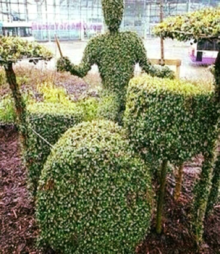 Eric Alper On Twitter If There S A Bustle In Your Hedgerow twitter