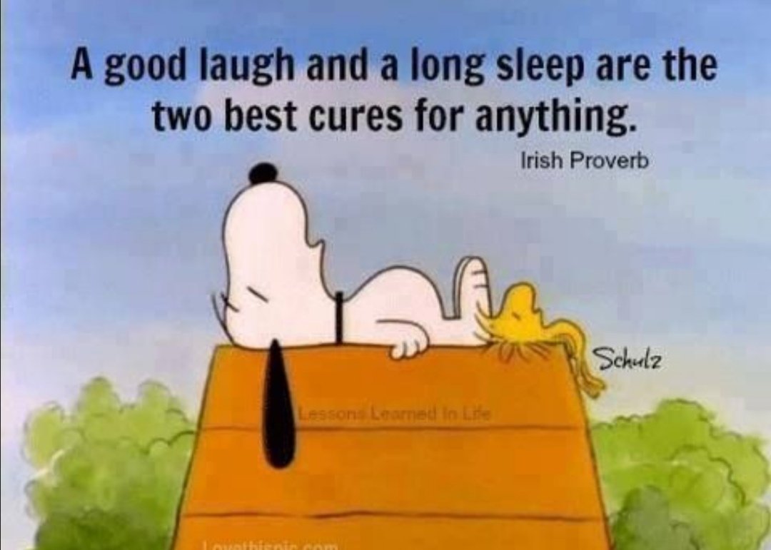 World Of Cartoons™ (@cartoonmemez) on Twitter photo 