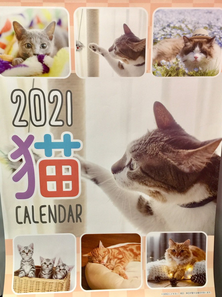 矢吹彩 V Twitter セリアで買ったもの 動物手帳 猫のメッセージカード 猫のカレンダー 猫グッズがないか ついチェックしに行ってしまう 矢吹彩 V Twitter セリアで買ったもの 動物手帳 猫のメッセージカード 猫のカレンダー 猫グッズがないか ついチェックしに行ってしまう
