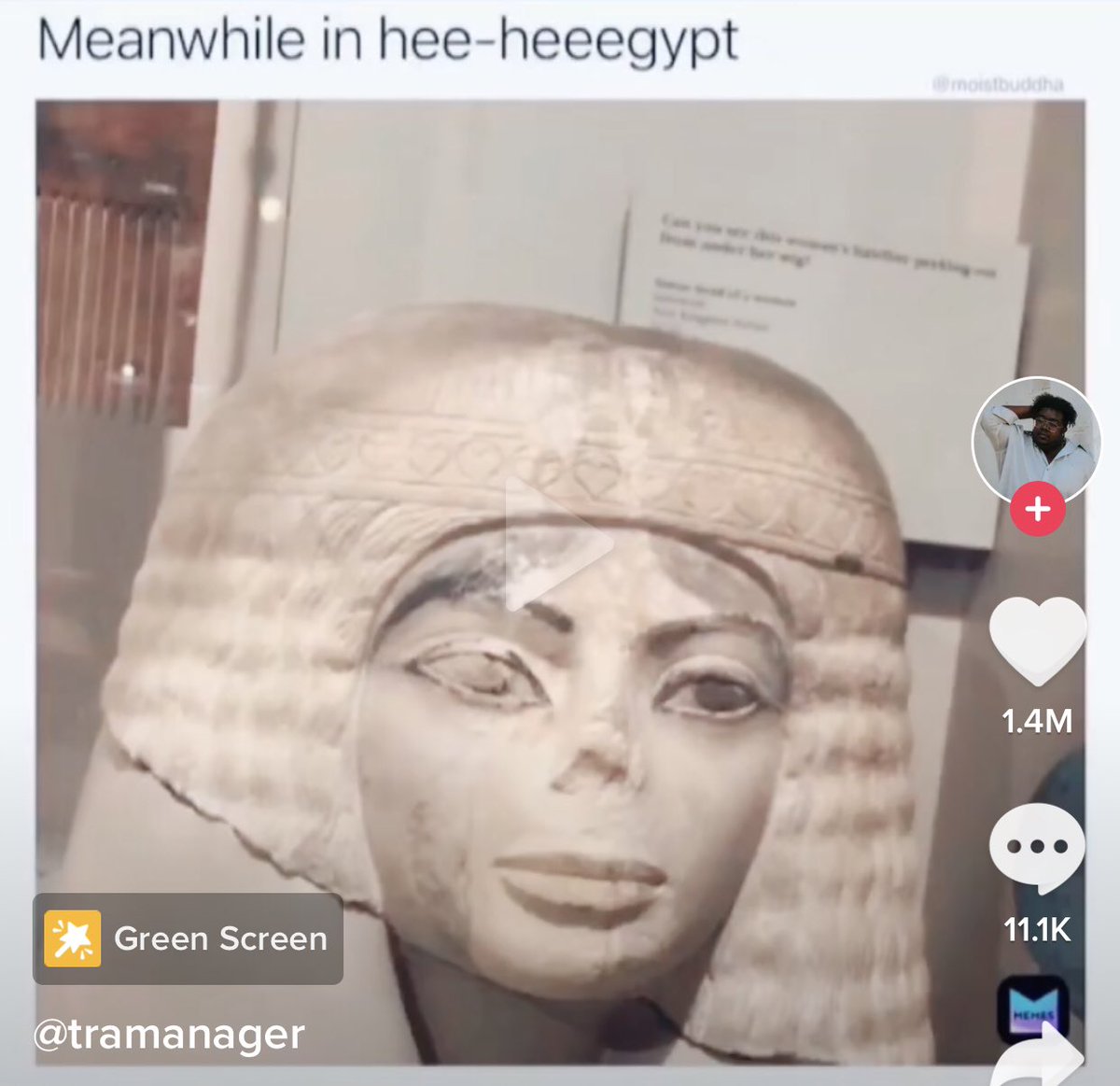 digital_swag's tweet photo. #TBT-hee #MJ Not my #Pharoah https://t.co/JnKSyFXYwo