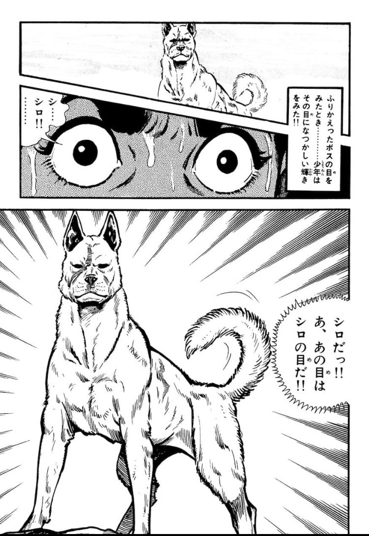 チョムマン サバイバル さいとう たかを に出てくるイヌ 可愛いな