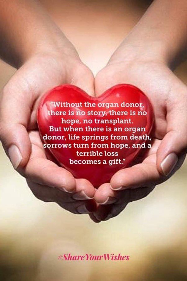 Today is a great day to celebrate life and second chances.
 #WorldOrganDonationDay Please have a conversation with your loved ones about what you'd like to happen to your organs when you die. It’s an incredible gift to save a life. 
<a href="/NHSOrganDonor/">NHS Organ Donation 💗🫀🫁</a>