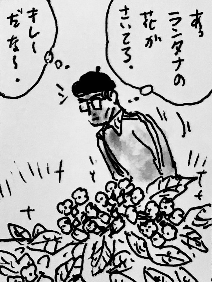 もう色々かなりアレだけどギリギリのところで希望を捨ててない 