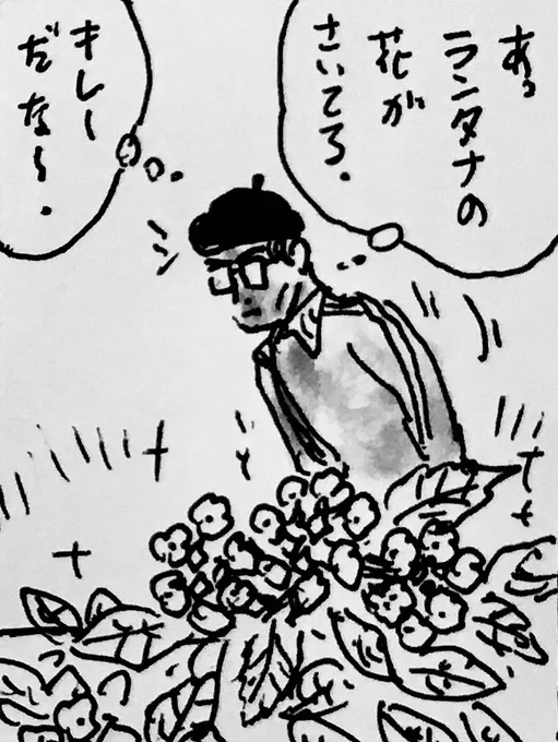 もう色々かなりアレだけどギリギリのところで希望を捨ててない 
