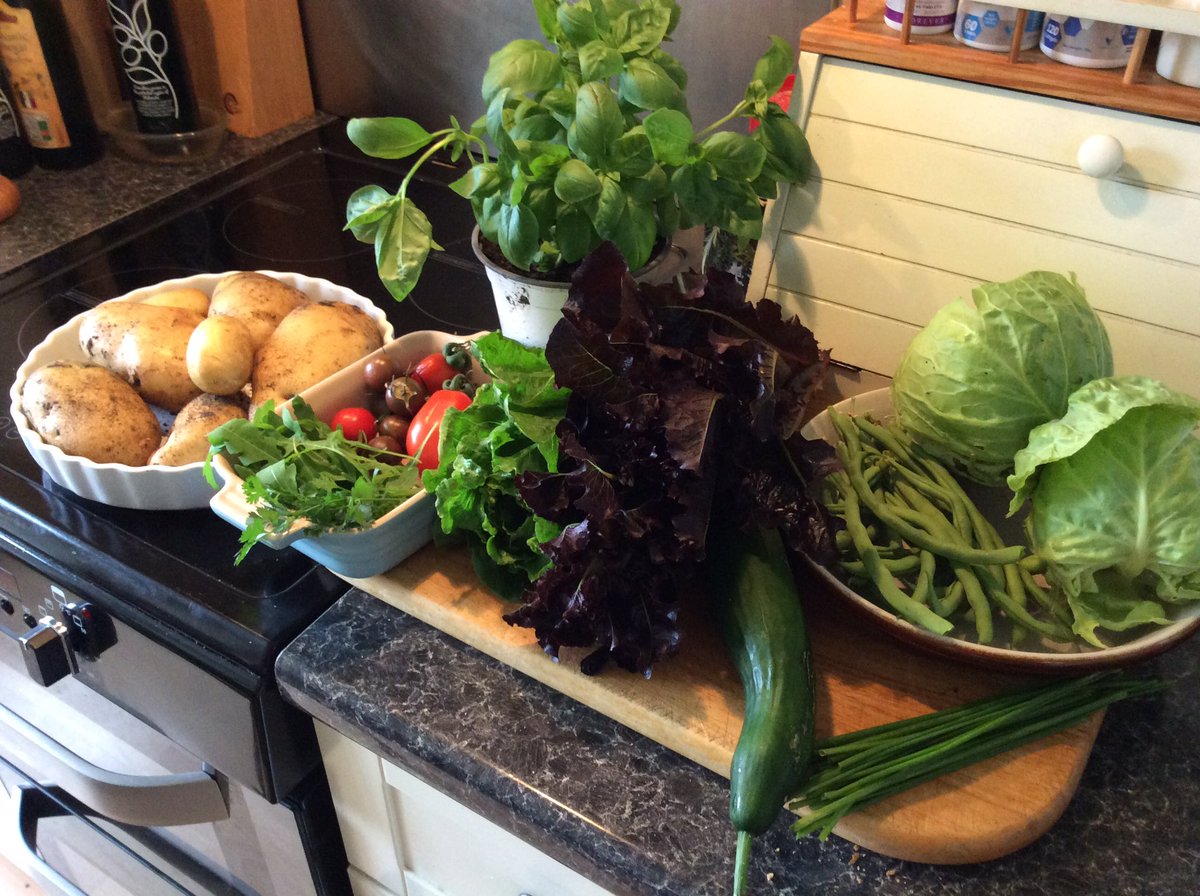 jay33bee's tweet image. That’s lunch and dinner sorted for today, love homegrown veggies