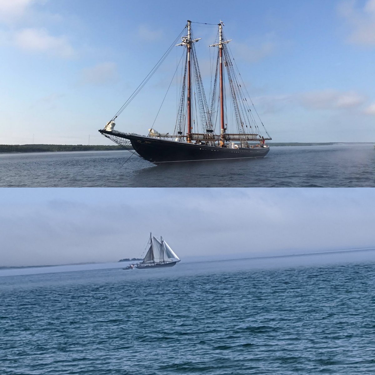 The Quarterdeck Resort had a brief visit from Nova Scotia's famous Bluenose. What sight from the deck of The Grill. Our guests loved it ❤️
#bluenose #quarterdeckresort #novascotia