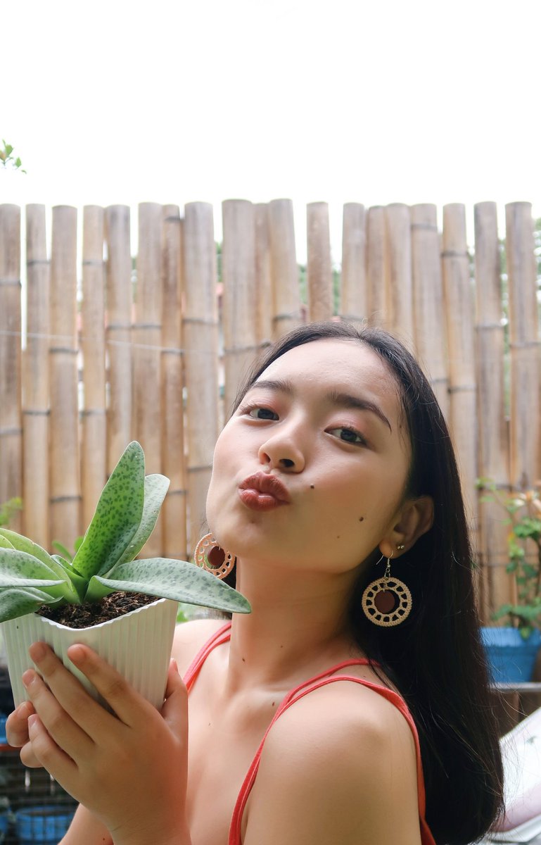 thearizaldo's tweet photo. plantita of Bohol 🌿 https://t.co/zHEAqW4I1Q