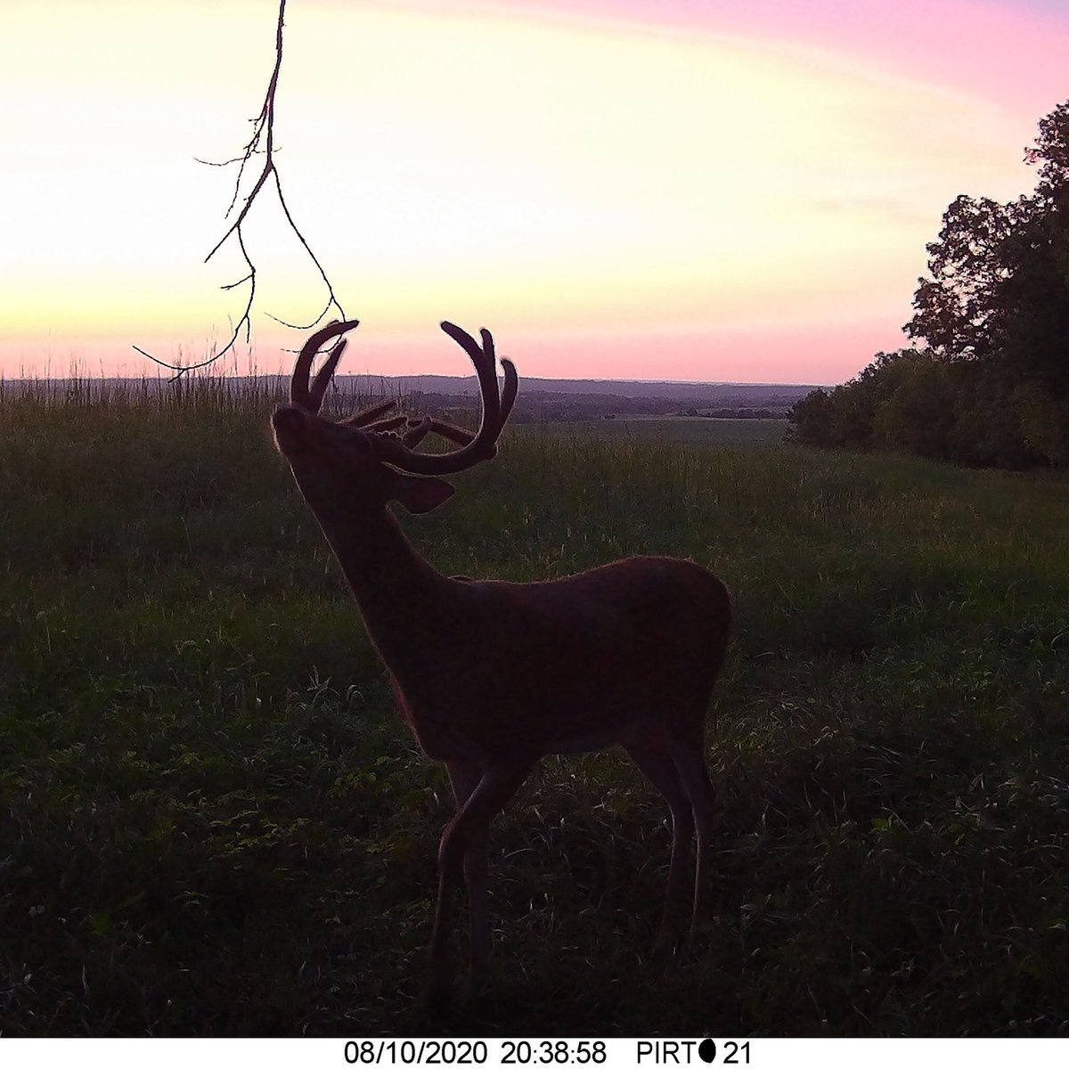 BEOUTDOORScom's tweet image. Early season patterns #bowhunting #youthseason #muzzleloaderseason #scrapes #deerseason #deerhunting