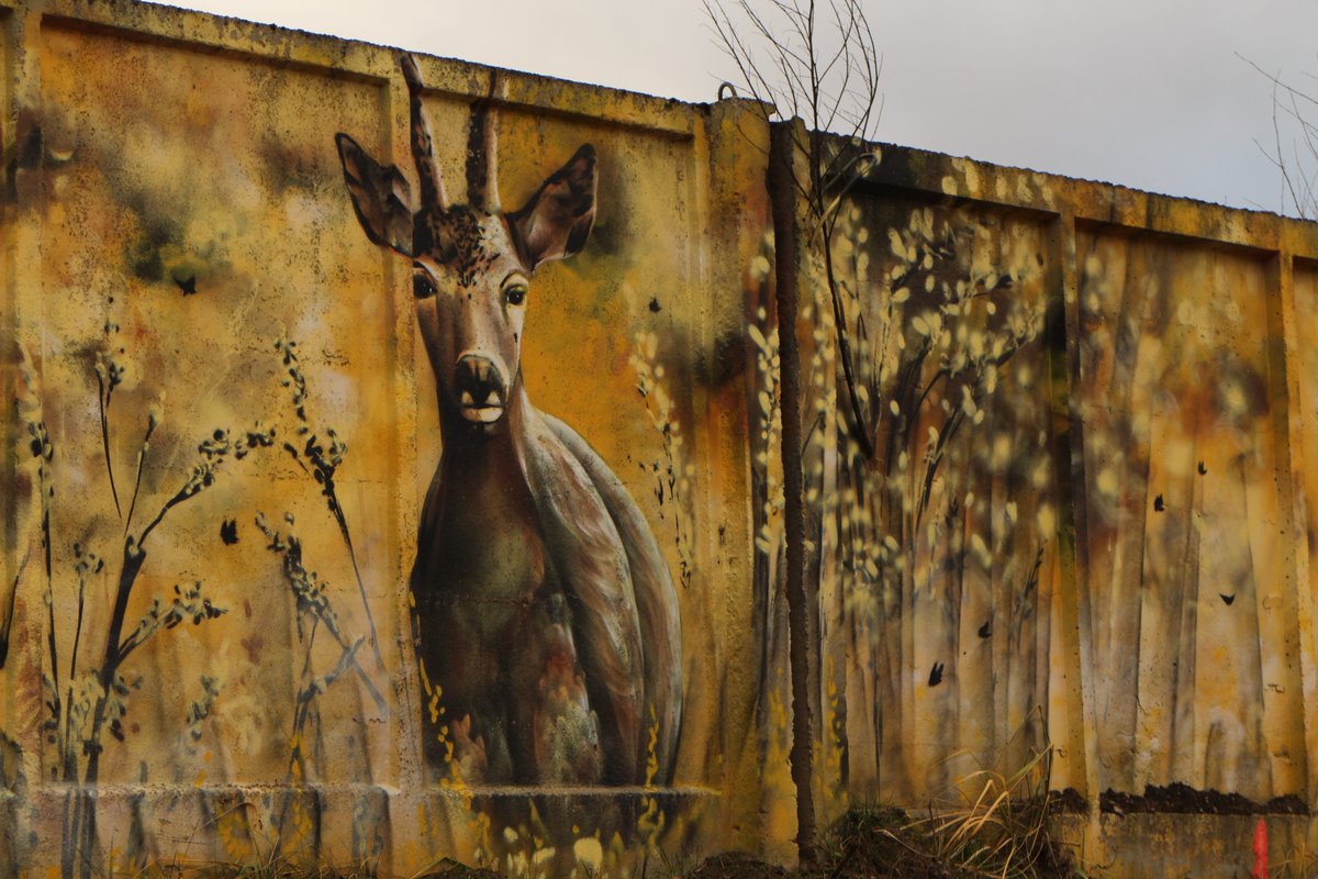 BeMoreSquirrel's tweet photo. Create a #GuardianCreature 🐉🐝🦫 

Design a creature &amp; see your artwork become a mural on the streets of #Cardiff! Protecting parks, watching over our streets; Cardiff is full of mythical guardian creatures &amp; we need your help to bring them to life. 1/2

https://t.co/5EYCFgh4VB https://t.co/VH9iYiIXfe