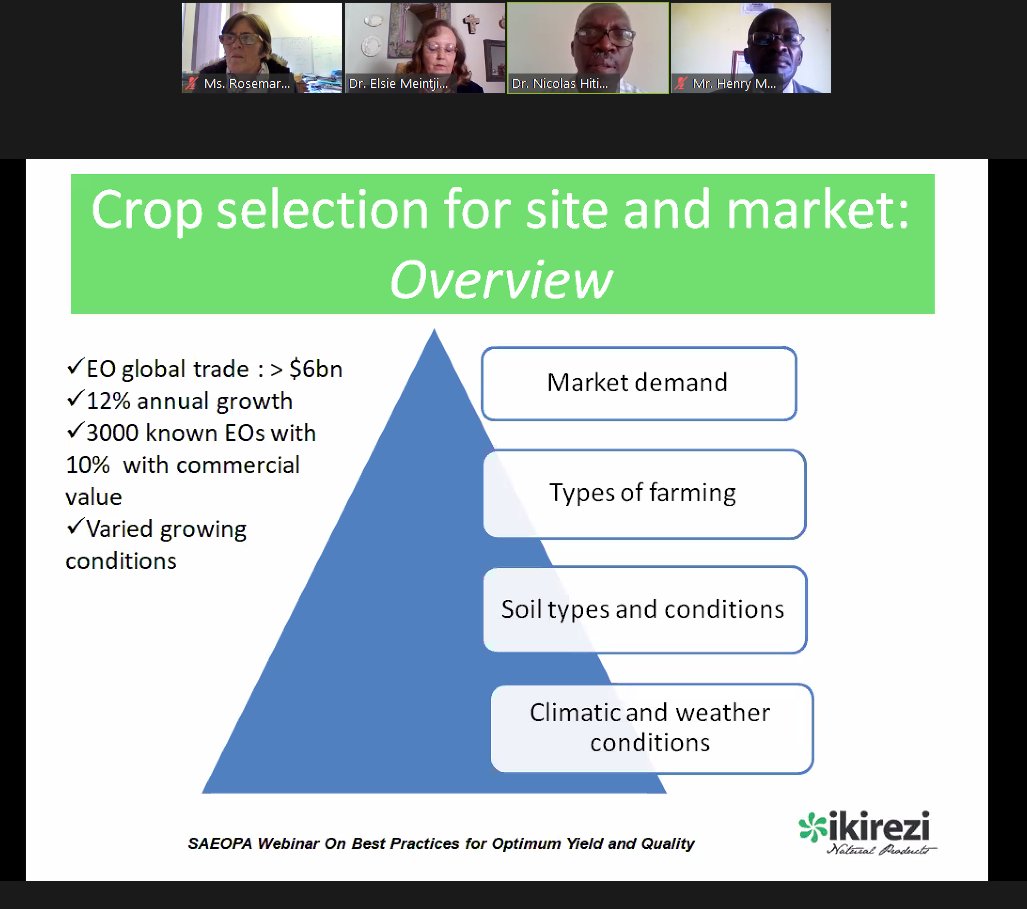 GqspSouthAfrica's tweet photo. #HappeningNow: The first of a series of #webinars 💻 led by #SAEOPA in lieu of the 2nd #essential &amp; #vegetable oils 🧪conference discussing best #agricultural practices for optimum #yield &amp; #quality 🌿 https://t.co/UzBuYfCFnH