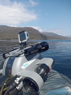 HI_Voices's tweet photo. Still here in Plockton doing #fieldwork for @SAMSoceannews, @ThinkUHI and @BrydenCentre_EU! Fantastic weather to be working from a RIB, follow me @SazReed for more pics&info. How many #seals can you see here? At Loch Carron Narrows dropping the @deeptrekker ROV 👀 #flameshells https://t.co/8GKp1QAT8m