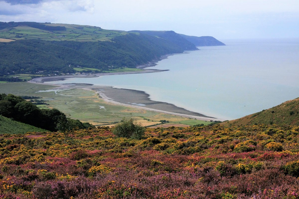 drbriancastle's tweet photo. #ContemplatingExmoor is a lockdown project. Pics of #Exmoor with reflections to help contemplate the beauty, wildness&vitality of the area. 2morrow will post intro & 1 reflection on website, then 2 will appear each week (Tues & Fri). Here are some pics being used. @Exmoor4all https://t.co/MV8sCkl6g4