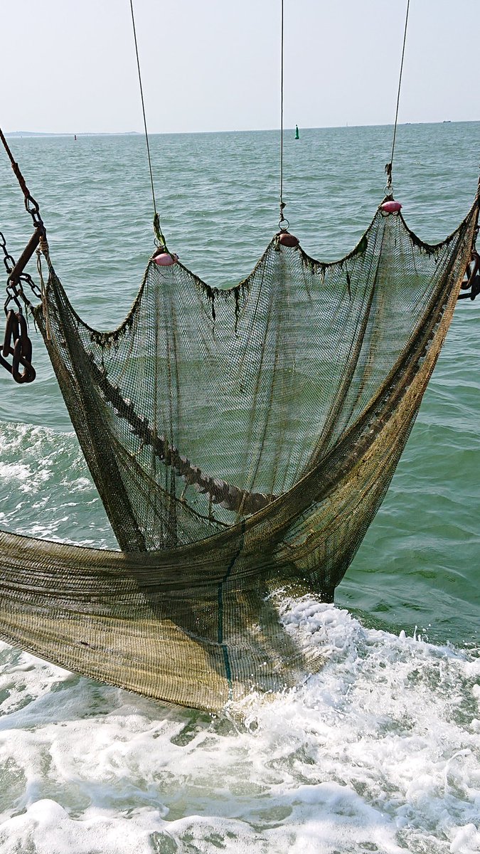 Als ze me missen, dan ben ik vissen.....