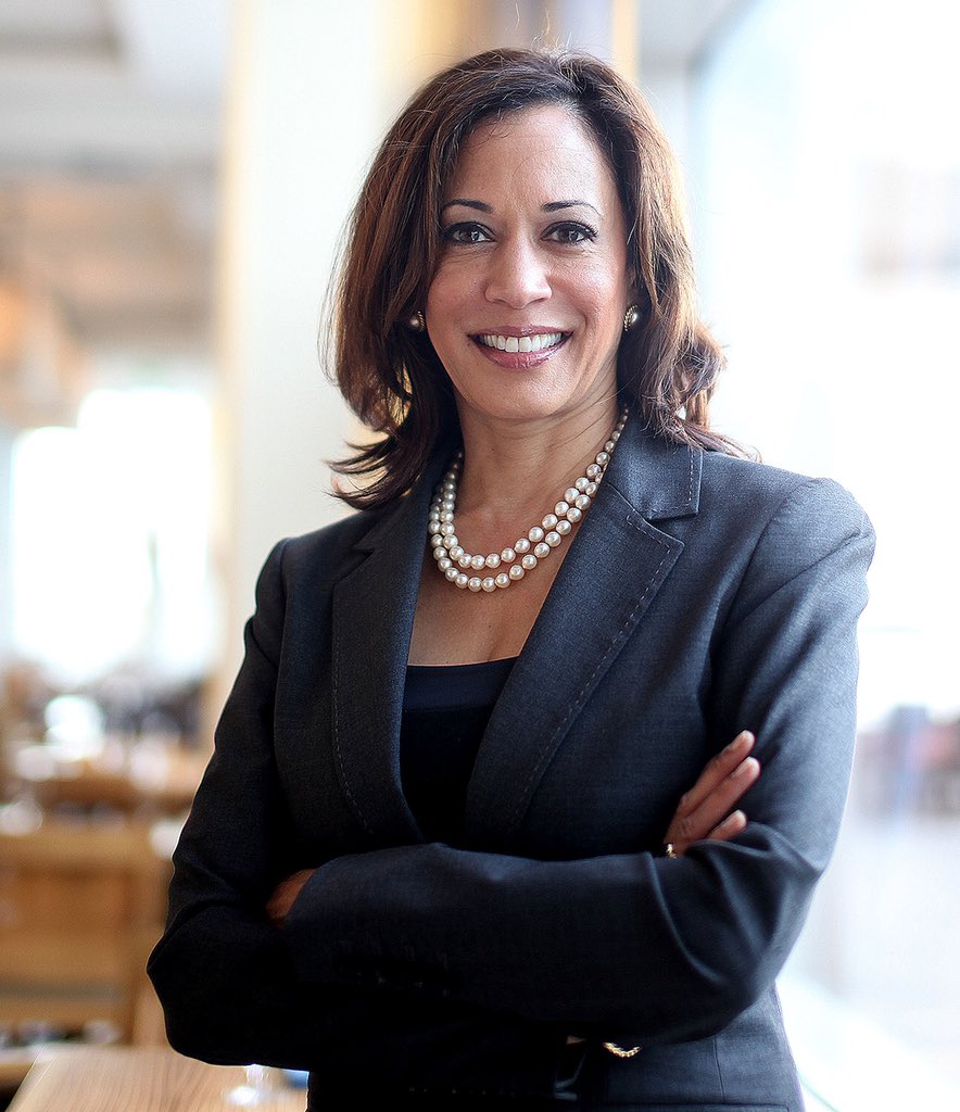 TrevorMFuller's tweet photo. Y’all can miss me with all this nitpicking about #KamalaHarrisVP. We have a job to do, remember? Biden/Harris 2020!! https://t.co/CeKN1AQA2U