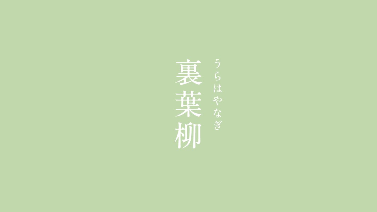 暦生活 こよみせいかつ Twitter वर 裏葉柳 うらはやなぎ にっぽんのいろ 渋い黄緑色ですが 明るい印象も受ける裏葉柳 裏柳 うらやなぎ の別名です 柳の葉の裏側のような色で 江戸時代に用いられた落ち着きのある色です 8月の色まとめはこちらから
