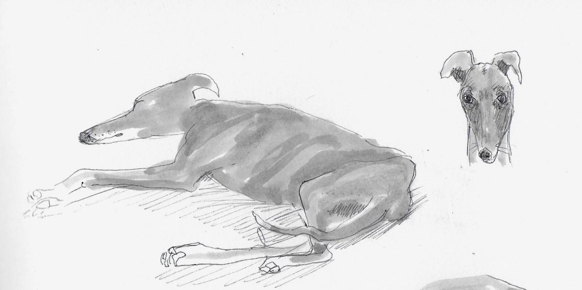 #drawingaugust has so far turned into #drawingdog...need to get out more I suppose...