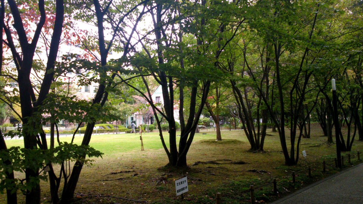 聖路加看護大学