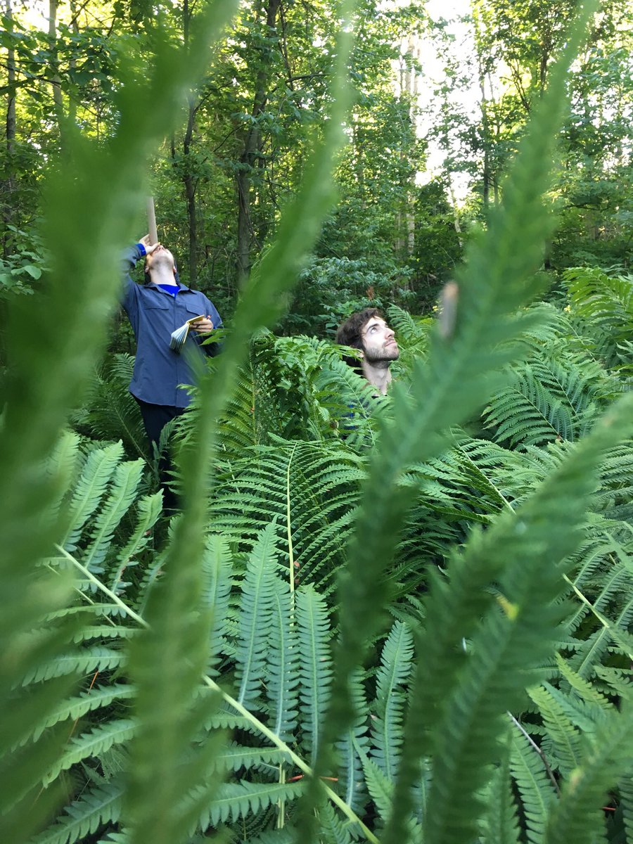 The field season is just about over! Oh, how I will miss (and already do miss) vegetation surveys 💔