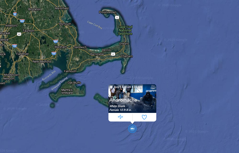 Look out everyone cuz I've got this pinging thing figured out. Just got another one off SE of Nantucket. I'm in no hurry to be moving on.